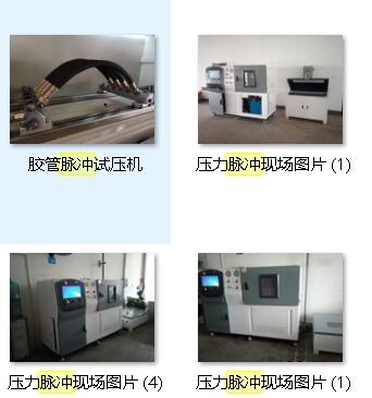 制動軟管壓力脈沖疲勞試驗(yàn)機(jī)|剎車軟管脈沖疲勞試驗(yàn)機(jī)